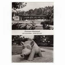 AK Potsdam-Waldstadt /